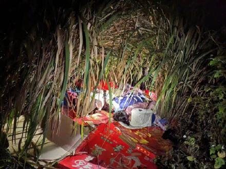 失踪4姐弟凌晨被发现在芦苇丛睡觉