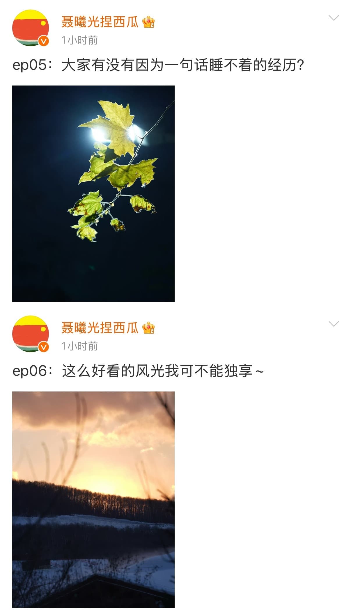 Tweet Image