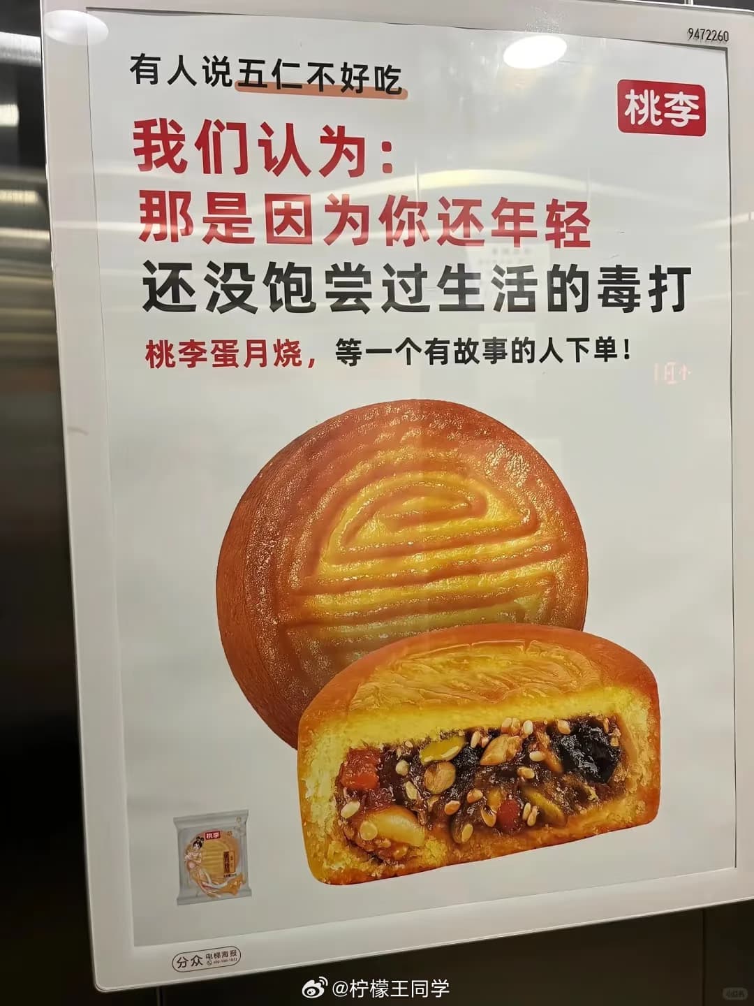 桃李面包广告