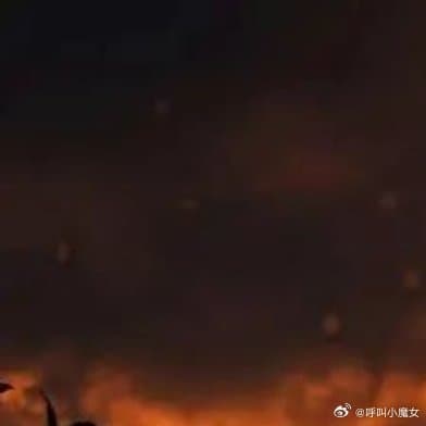 Tweet Image