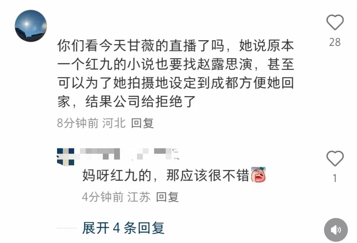 银河酷娱替赵露思推掉红九的小说