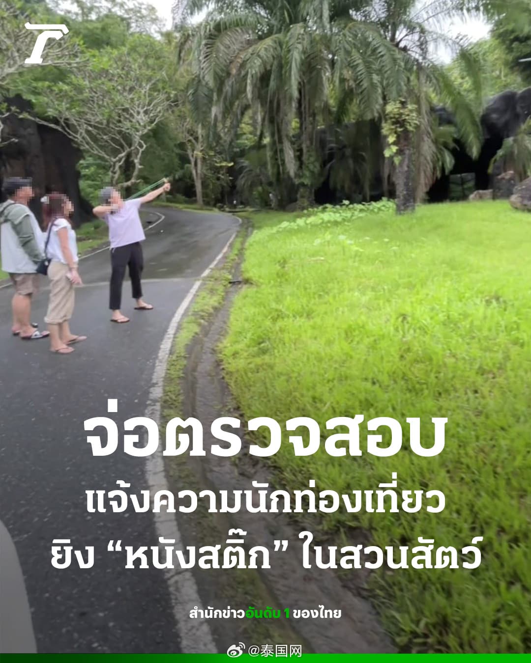 Tweet Image