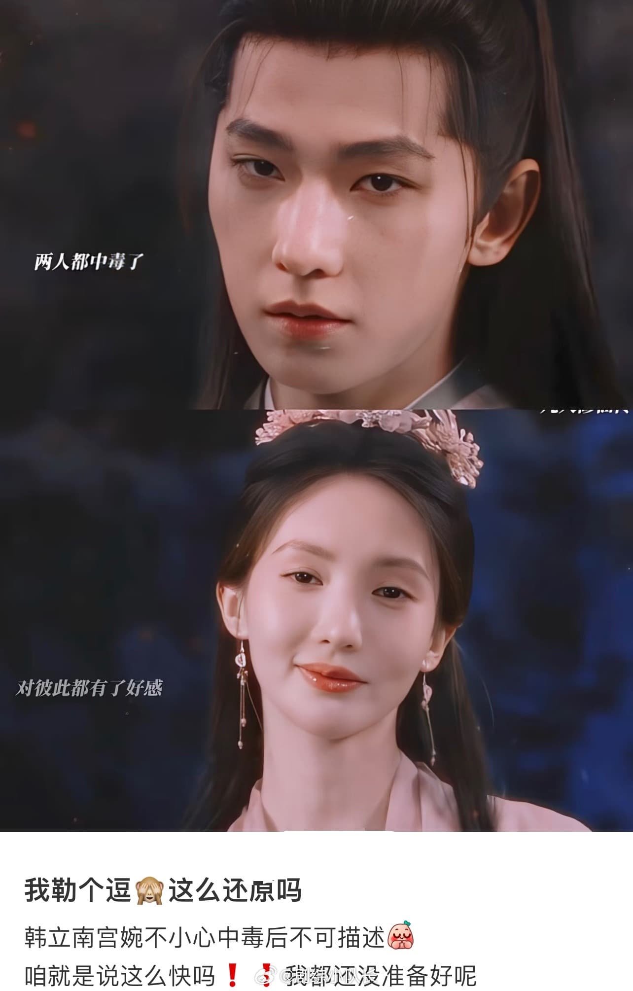 杨洋金晨