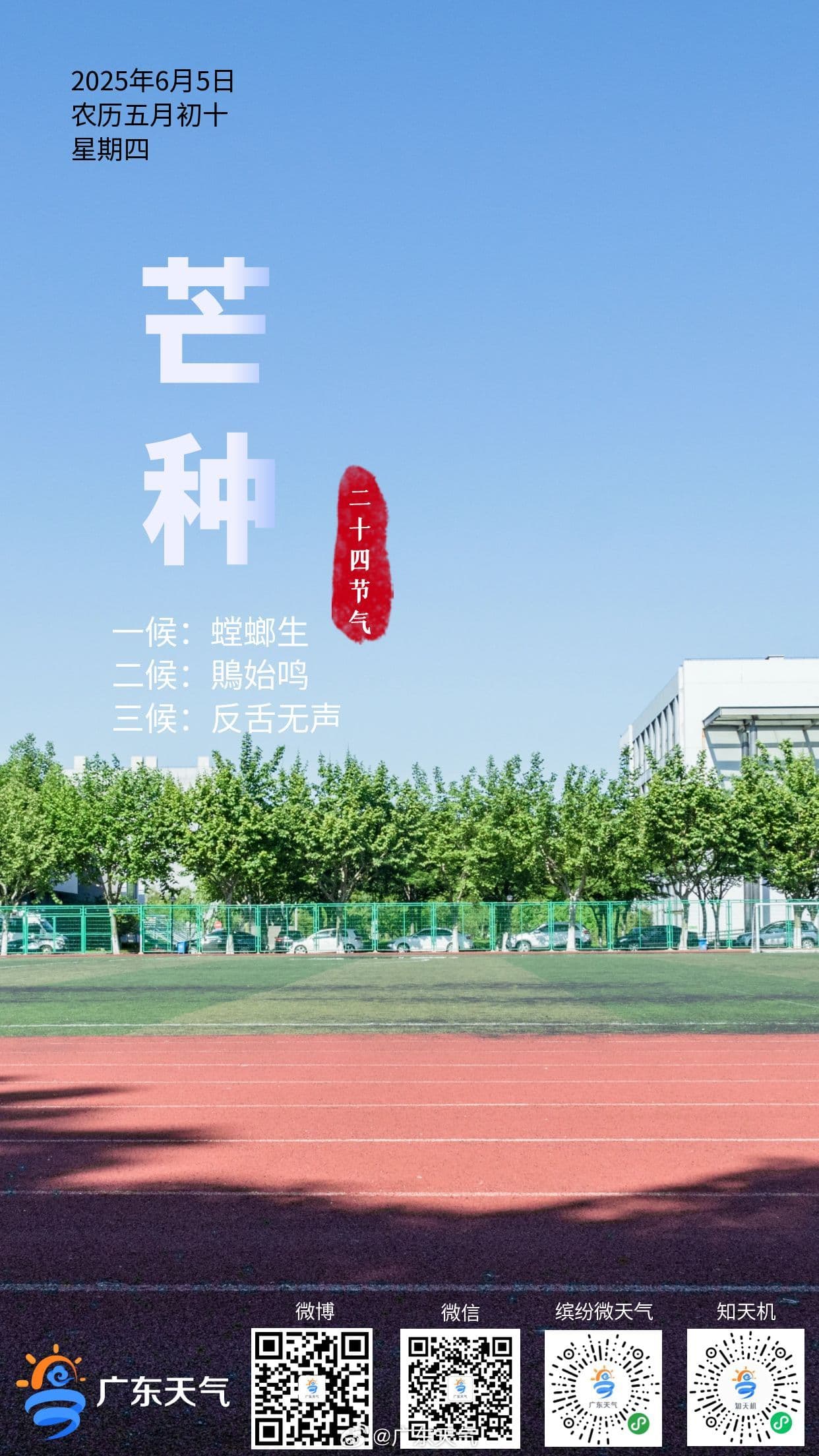 Tweet Image