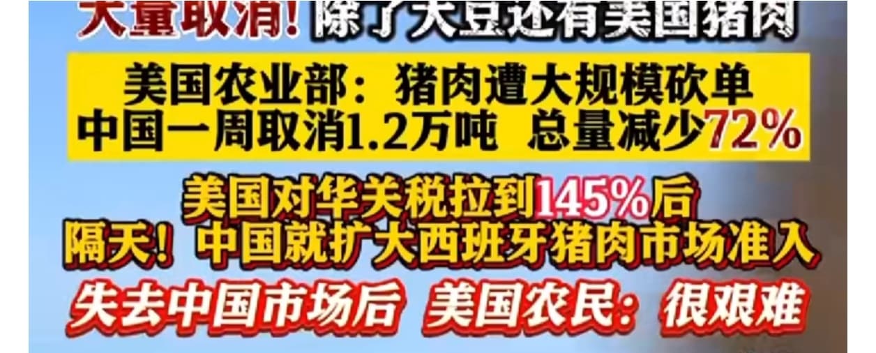 Tweet Image