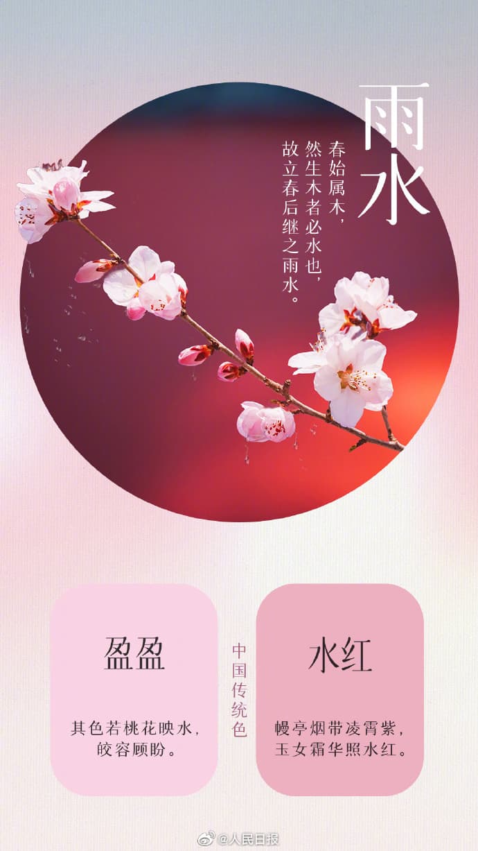 Tweet Image