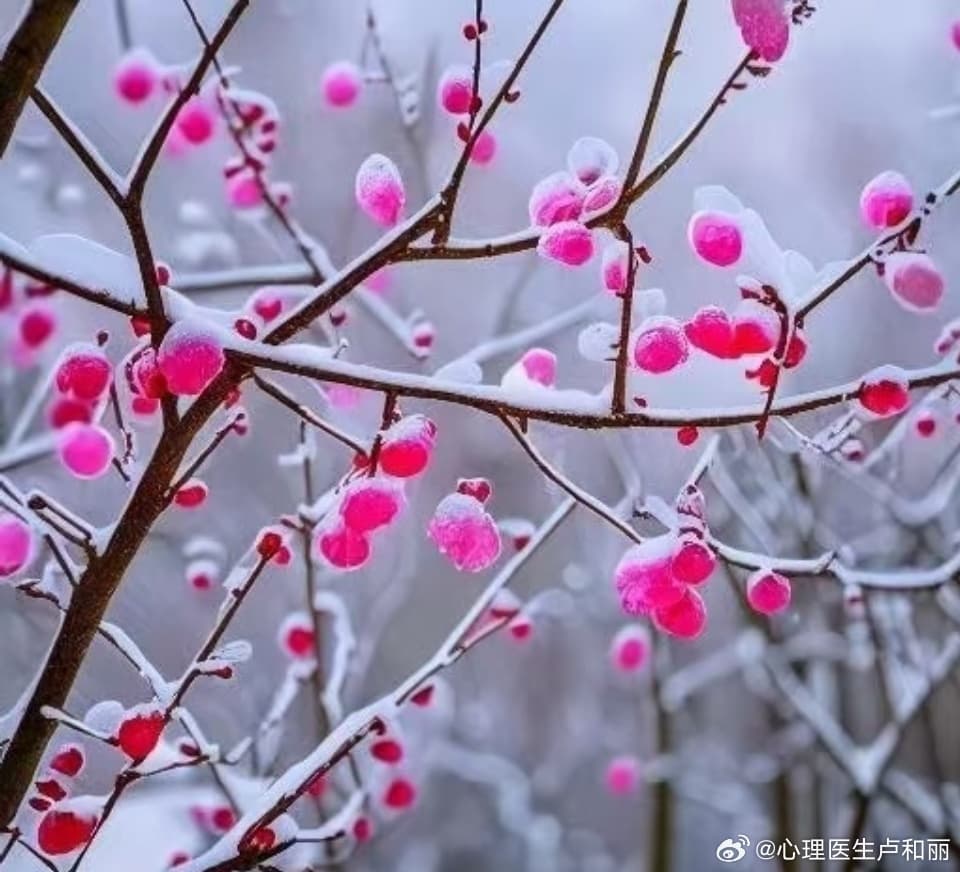 Tweet Image