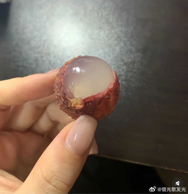 这个荔枝死了吗
