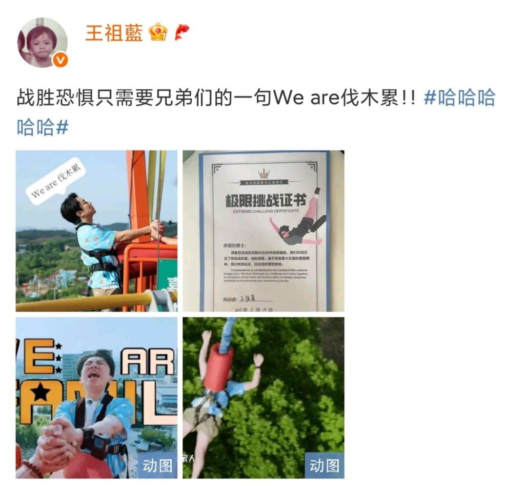 Tweet Image