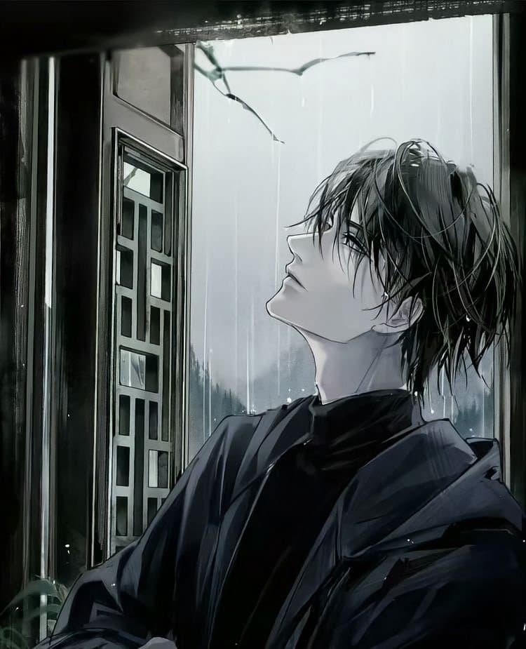 Tweet Image