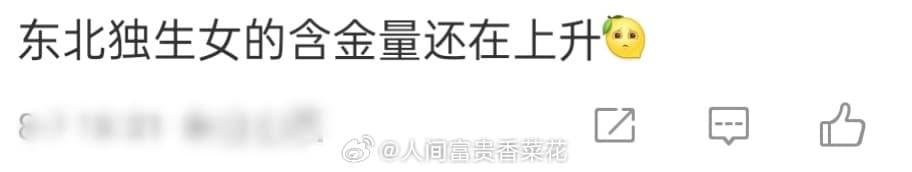 沈佳润东北独生女的含金量