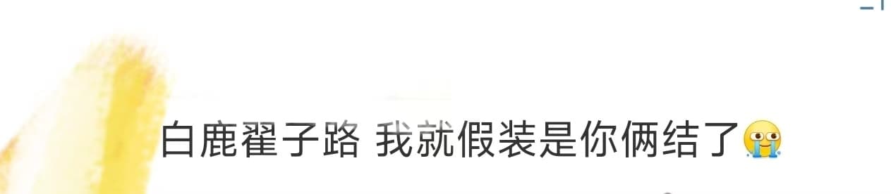 Tweet Image