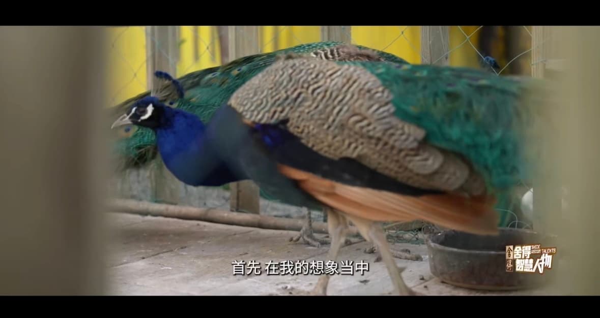 回顾樊振东德班世乒赛夺冠之路