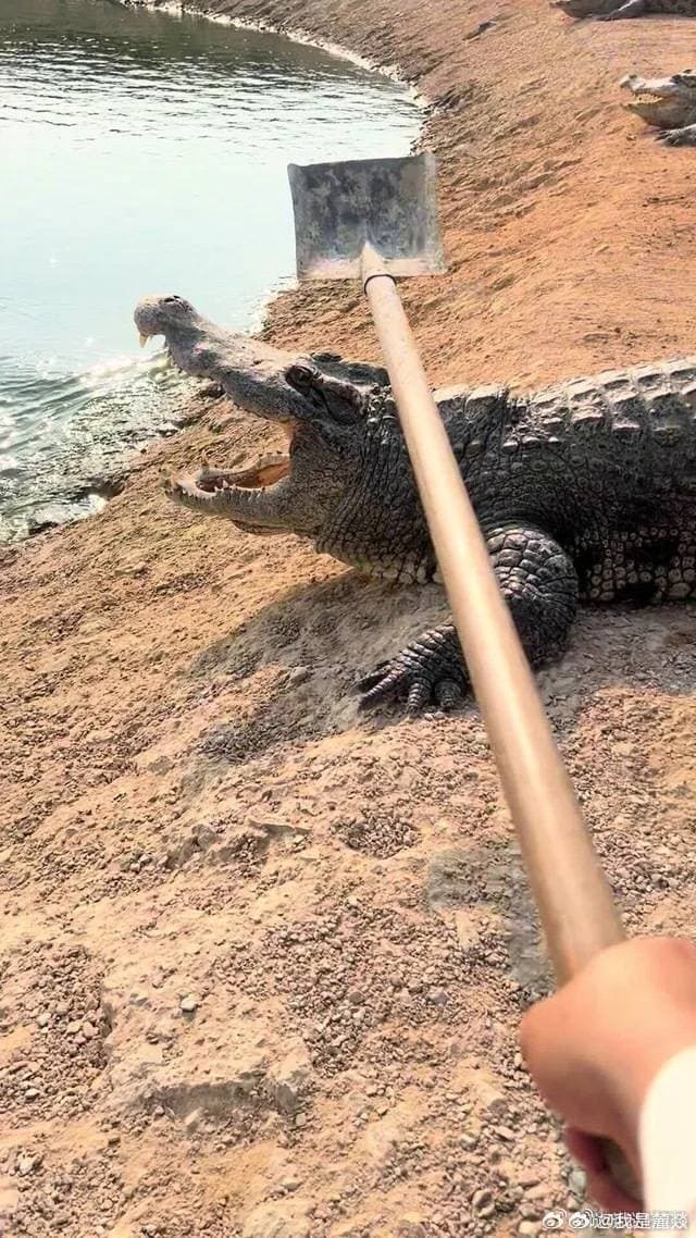 您的鳄了么订单需到场自提