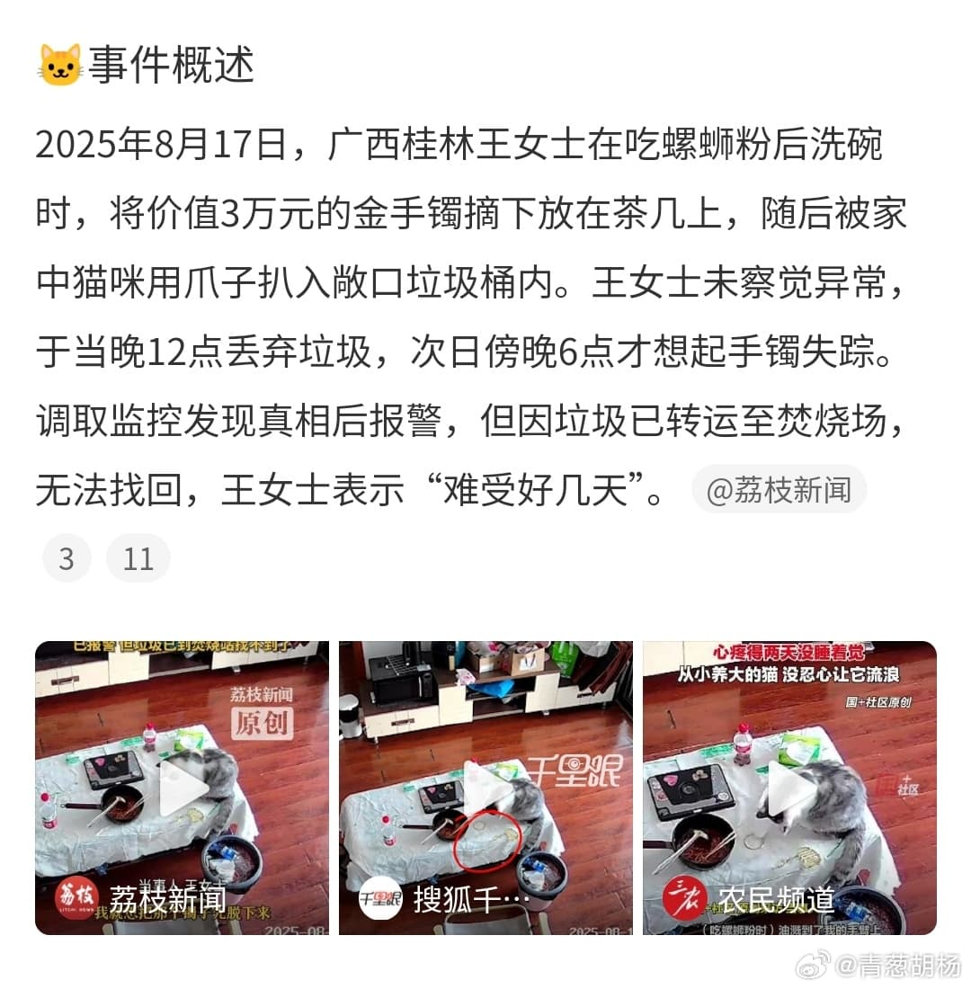 3万金镯子被猫推进垃圾桶后扔了