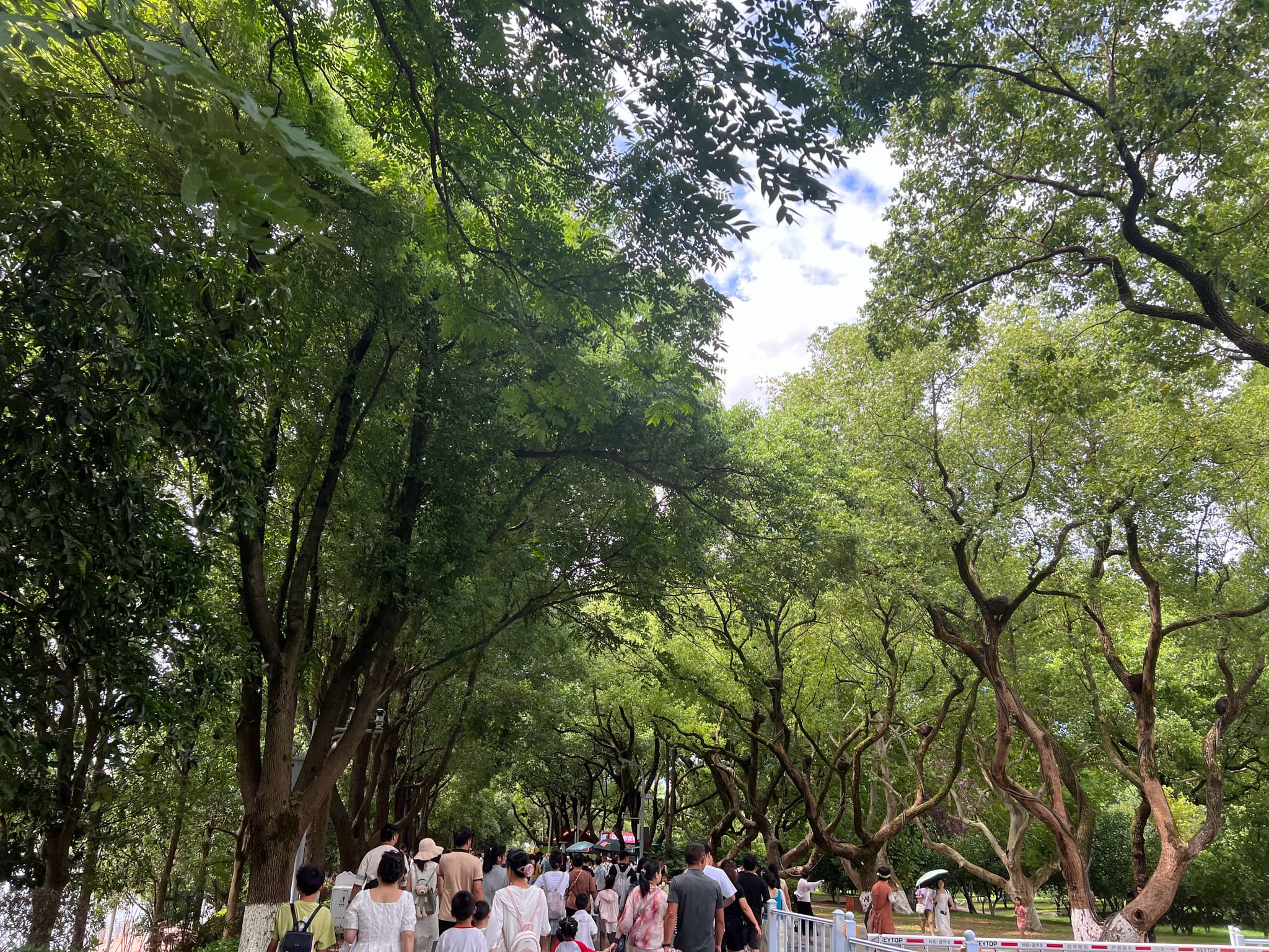 橘子洲小火车暴雨开门