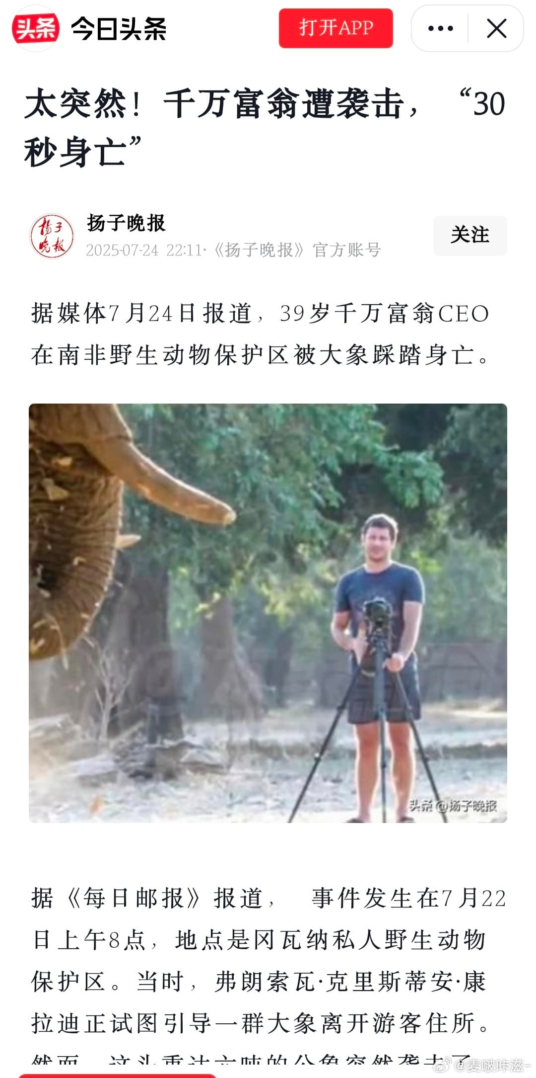 富豪CEO被大象踩踏身亡