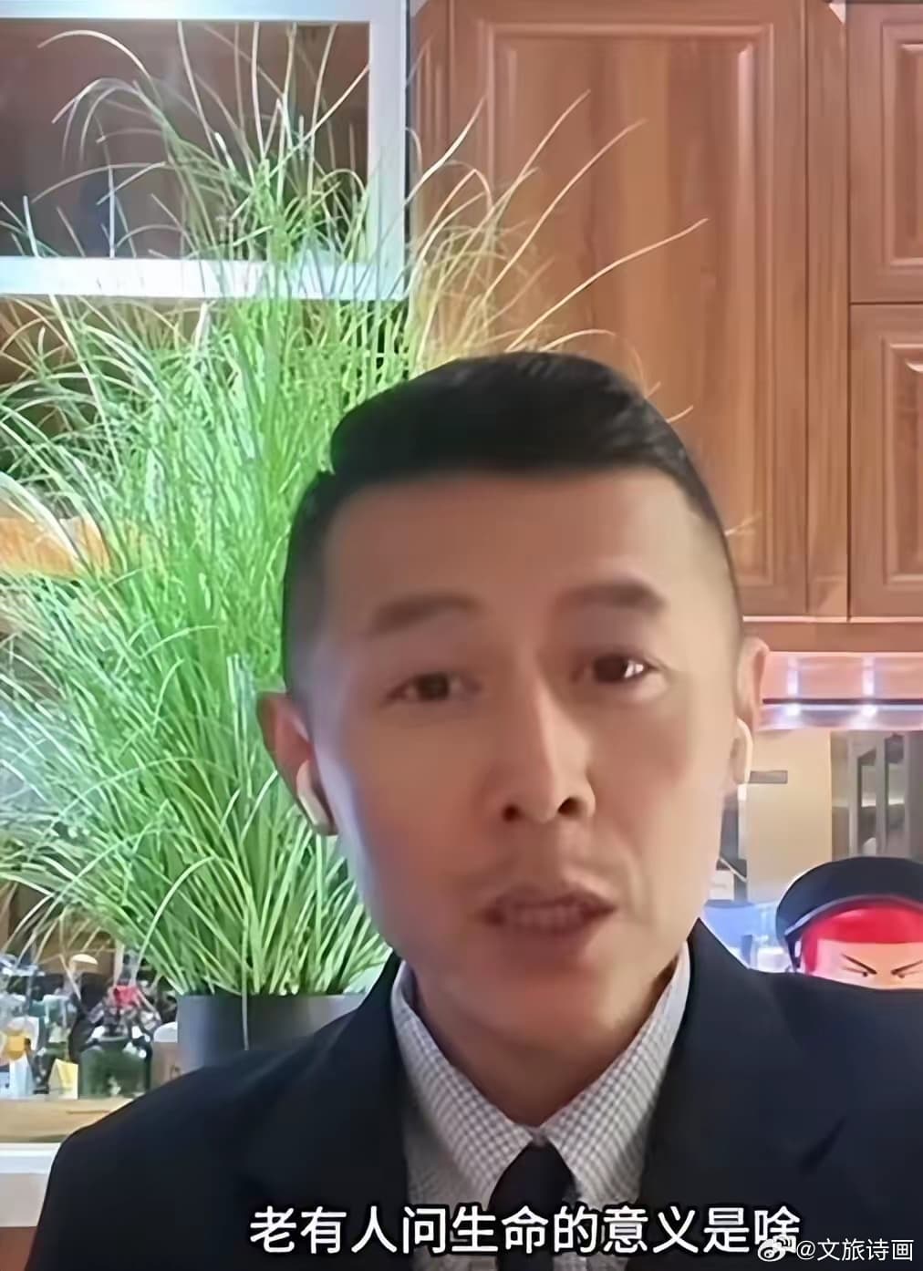 大冰 综艺