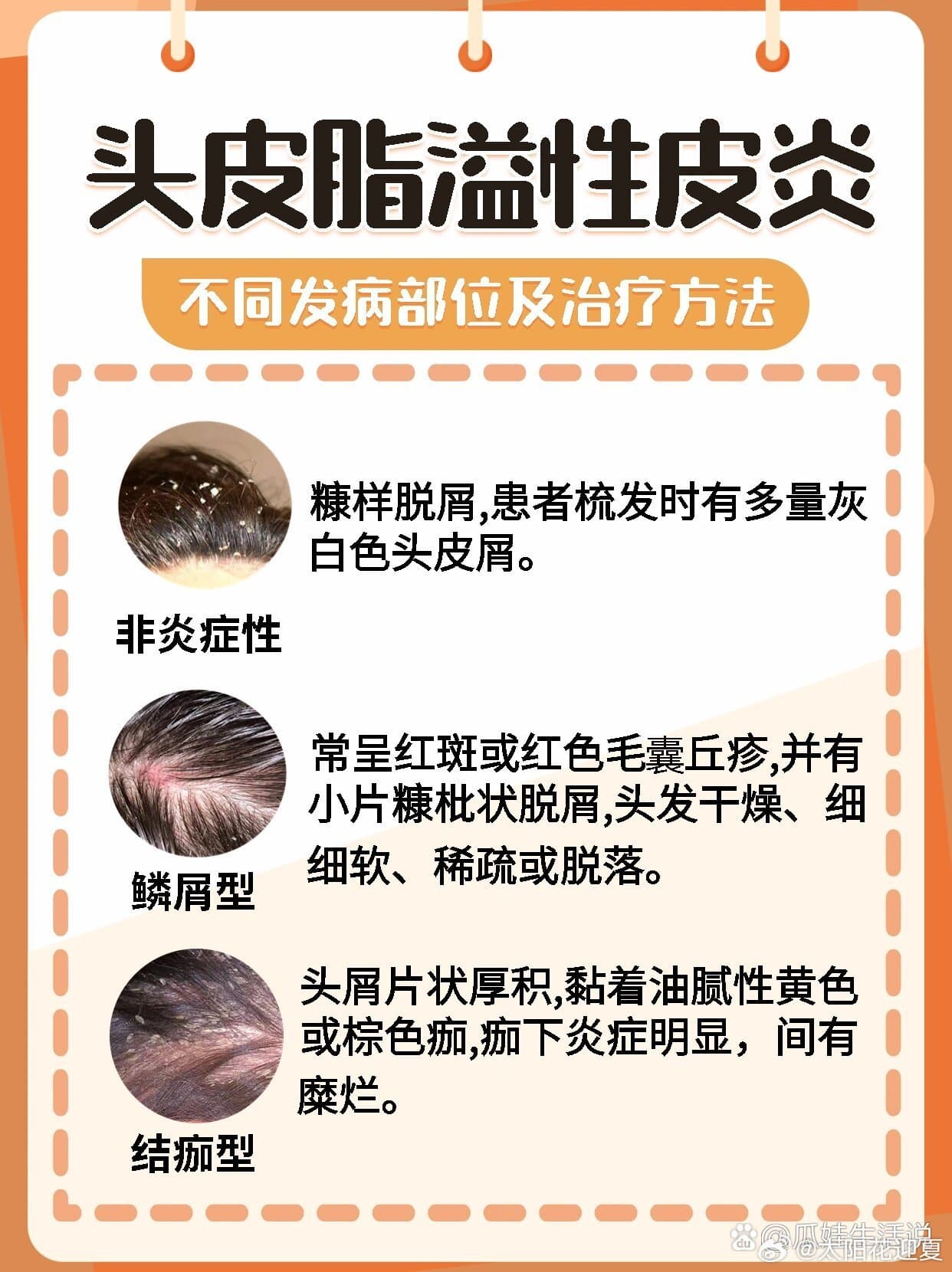 Tweet Image