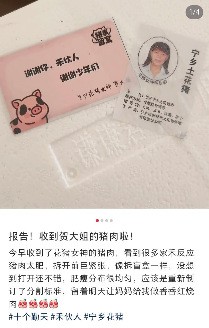 十个勤天猪肉