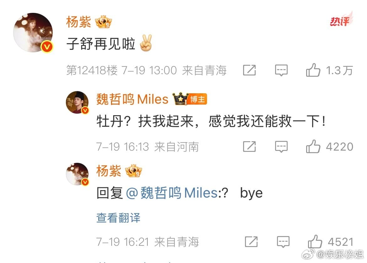 杨紫都有点不敢回魏哲鸣了