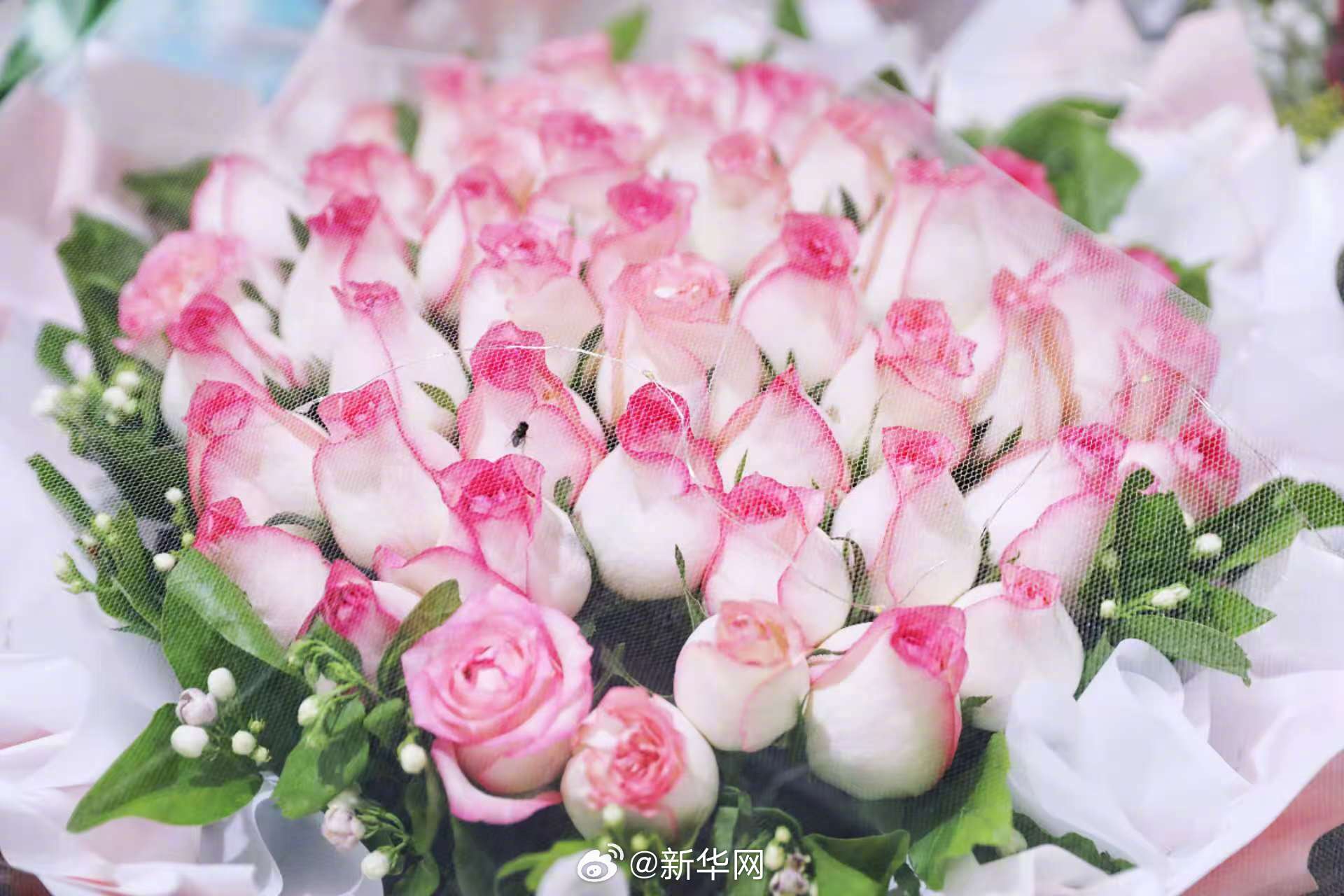 Tweet Image
