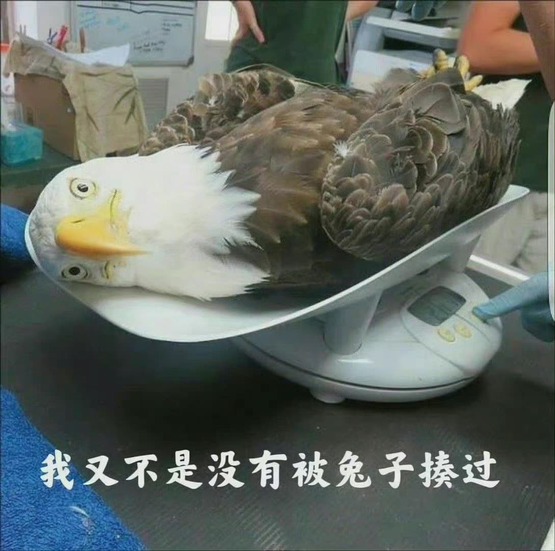 Tweet Image