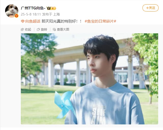 Tweet Image