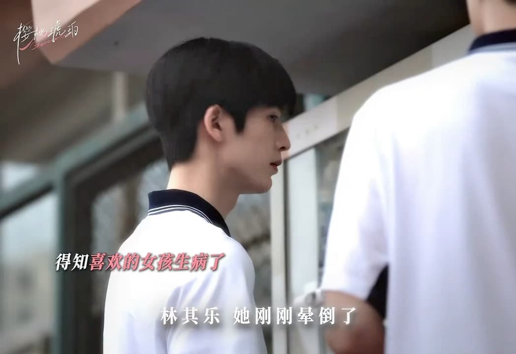 樱桃琥珀