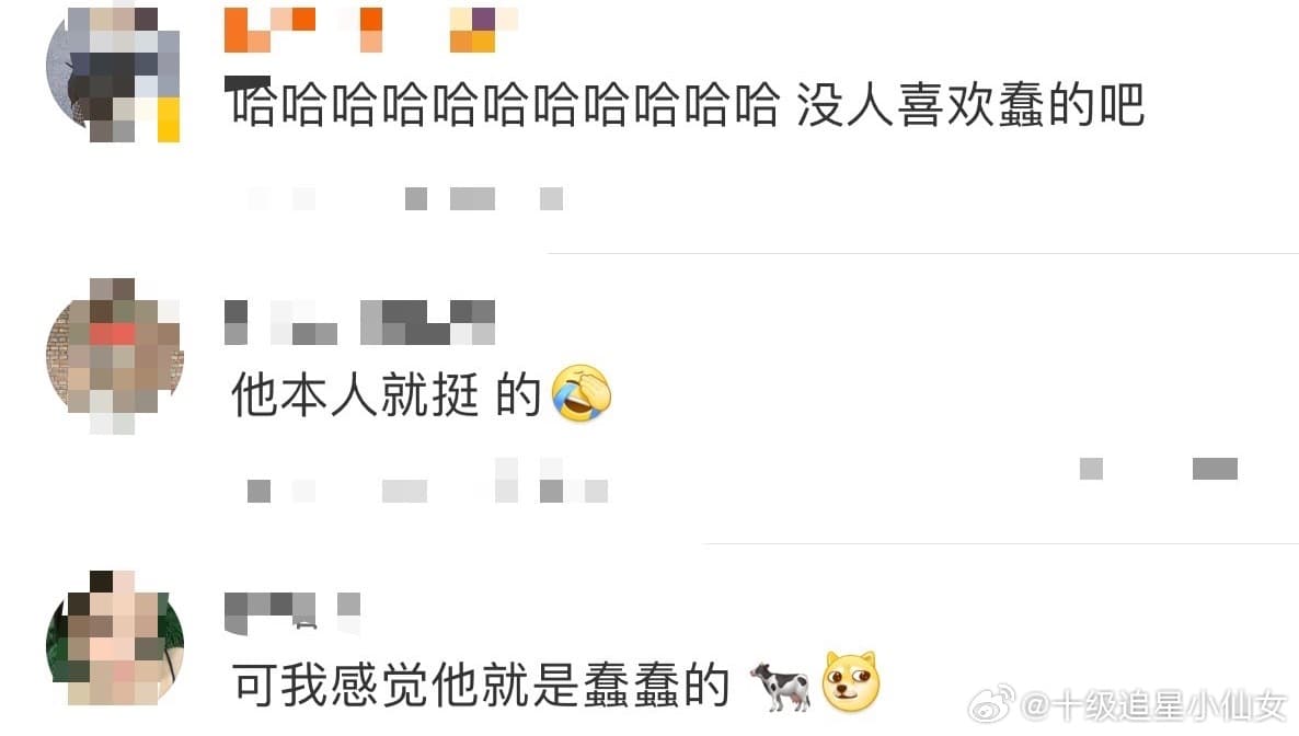 张凌赫没人喜欢蠢的吧