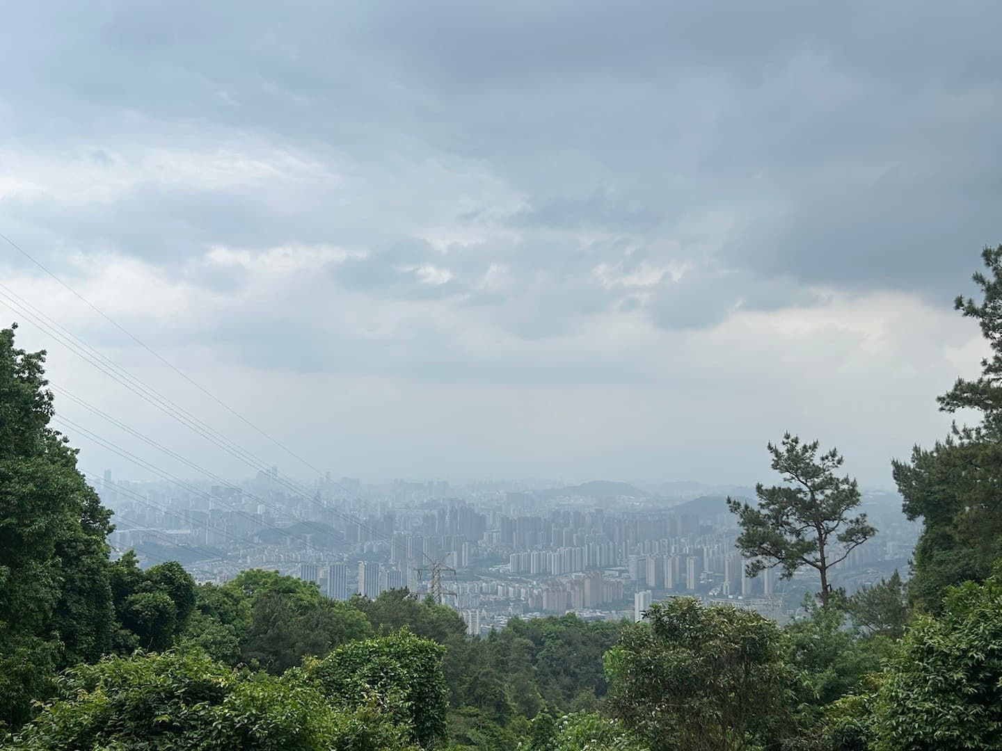 坚持跳绳一个月的我belike