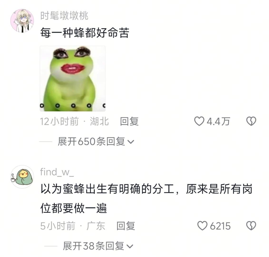 姜广涛发文