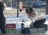 Title: Outrage on Weibo as Man Performs Livestream at the Site of Japan's WWII 731 Military Unit