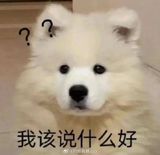 Weibo Users React to New Take on "Male Left, Female Right" Concept