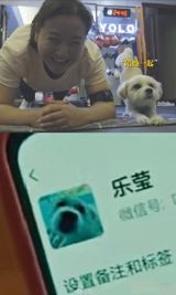 In a heartwarming tale emerging from the Chinese entertainment industry, a dog that accompanied actress Jia Ling during her weight loss journey was revealed to have been found while filming the movie "Hello, Li Huang Zheng." This touching story has captured the hearts of netizens on Weibo, garnering widespread attention and admiration.