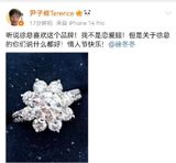 Journalist's note: The following article is based on social media posts from Chinese users, featuring a news story about Terence Yin, a Chinese actor and businessman, reportedly attempting to propose marriage to his girlfriend, Chinese actress and singer, Xu Tingting.