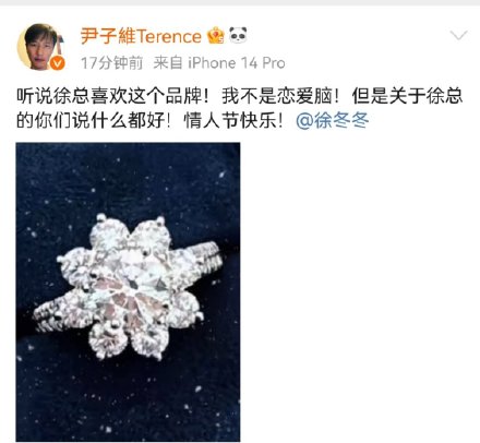 Chinese Actor Terence Yin Rumored to Propose to Actress Xu Tingting on Valentine's Day