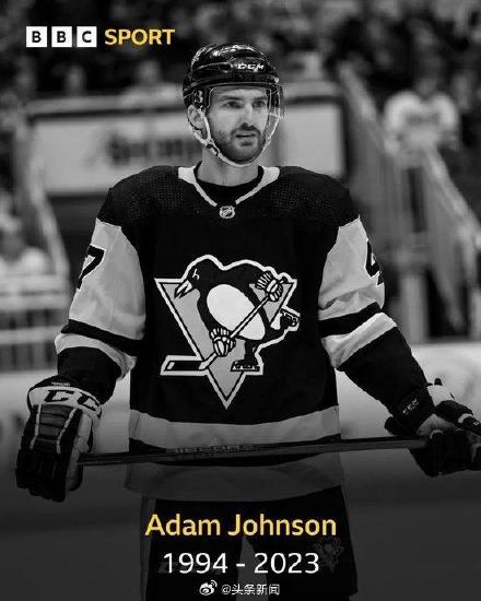 Tragic Incident in Ice Hockey Results in Death of Promising Player Adam Johnson