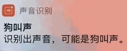 Zhao Lu Si's XiaoHongShu (Little Red Book) advertising influence has been a hot topic on Chinese social media, with netizens discussing why her posts lead to trends and endorsement opportunities. The advertisements seem to primarily revolve around her personal endorsements, outfit styles, cute animals, and daily life experiences.