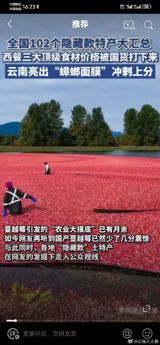 Chinese Farmers Take on Western Culinary Elite with Inexpensive Foodstuffs
