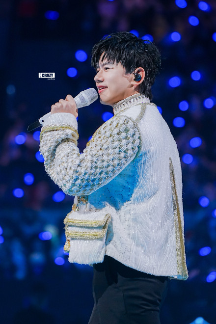 Zhang Jie's Unforgettable Cross-Year Concert: A Magical Night of Music and Community