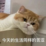 Title: Tears and Tantrums: Chinese Teacher Sister Fumes Over Brother's 7 Failing Exam Scores