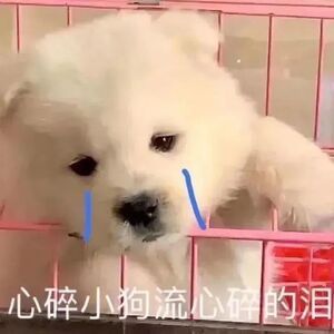 Manufacturer claims that 5.9 yuan foundation liquid is a discount price