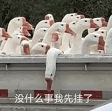 McDonald's Crashes, Leaving Chinese Netizens Hungry for Replies