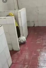 Title: Takeaway Clerk Allegedly Inserts Hair into Customer's Meal; Netizens Outraged and Call for Stricter Safety Measures