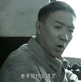 In the Chinese entertainment industry, two names have been trending on Weibo, stirring up discussions and debates among netizens. These names are Li Yunlong, known as the "Qing Emperor" or "Celebrated Emperor," and Ning Yizhuo, a renowned dancer and actress. The TV drama "Celebrated Emperor" has been the center of attention, with viewers captivated by the character Li Yunlong plays. A Weibo user noted, "I suddenly realized... the character's name doesn't appear in the drama. It's just 'Celebrated Emperor.' But after knowing that the Crown Princess is Li Yunrui, could it be that the Celebrated Emperor is Li Yunlong?" This observation fueled speculation and discussions on the emperor's true identity. The relationship between the Celebrated Emperor and his adopted son, Range, adds another layer to the storyline. Range, portrayed by Zhang Ruoyun, expresses disappointment in the emperor. A netizen empathized with Range, commenting, "Range must be very disappointed in his father. The anger and disappointment he feels are so relatable." Another user, referencing a popular meme, jokingly said, "Celebrated Emperor, are you seeing the stars?" in response to Range's question. Meanwhile, Li Yunlong took to Weibo, posting the message, "Who helped me get my name?