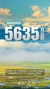 Chinese Netizens Show Support for Efforts to Preserve and Protect Vital Wetland Ecosystems