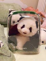 In a recent viral story from Beijing Zoo, there has been a heartwarming encounter between the famous giant panda, 8-year-old Menglan, and a 5-month-old plush toy replica of herself. The moment was captured on video and shared on Weibo, China's popular social media platform, garnering a lot of attention from netizens.