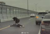 A shocking video of a man violently attacking another man with a sharp object while in broad daylight on a bridge in Hangzhou, Zhejiang Province has gone viral on Chinese social media. The victim, identified as the BMW driver, was later assaulted by the suspect, a Bentley driver, who attempted to remove the recording device from the BMW. Chinese authorities have confirmed that the Bentley driver has been apprehended, and the investigation is ongoing.