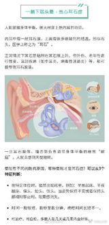 Heading: The Sudden and Disruptive Impact of Vertigo: Understanding and Combating Benign Paroxysmal Positional Vertigo (BPPV) in China Introduction Vertigo is a common yet misunderstood condition that affects millions of people worldwide, often leaving them feeling disoriented and in a state of constant motion. In China, the most widespread form of vertigo is known as Benign Paroxysmal Positional Vertigo (BPPV), which can present itself suddenly and unexpectedly, leaving sufferers feeling helpless and confused. Understanding BPPV BPPV is a specific type of vertigo that is caused by the displacement of tiny calcium crystals called otoconia from the utricle to the semicircular canals located in the inner ear. When these crystals become displaced, they can disrupt the normal functioning of the balance organs, leading to the sensation of dizziness and spinning known as vertigo. The onset of BPPV is typically triggered by specific movements or changes in head position, such as rolling over in bed, tilting the head back or sideways, or standing up quickly. Symptoms of BPPV, which can last from a few seconds to several minutes, often include the following: